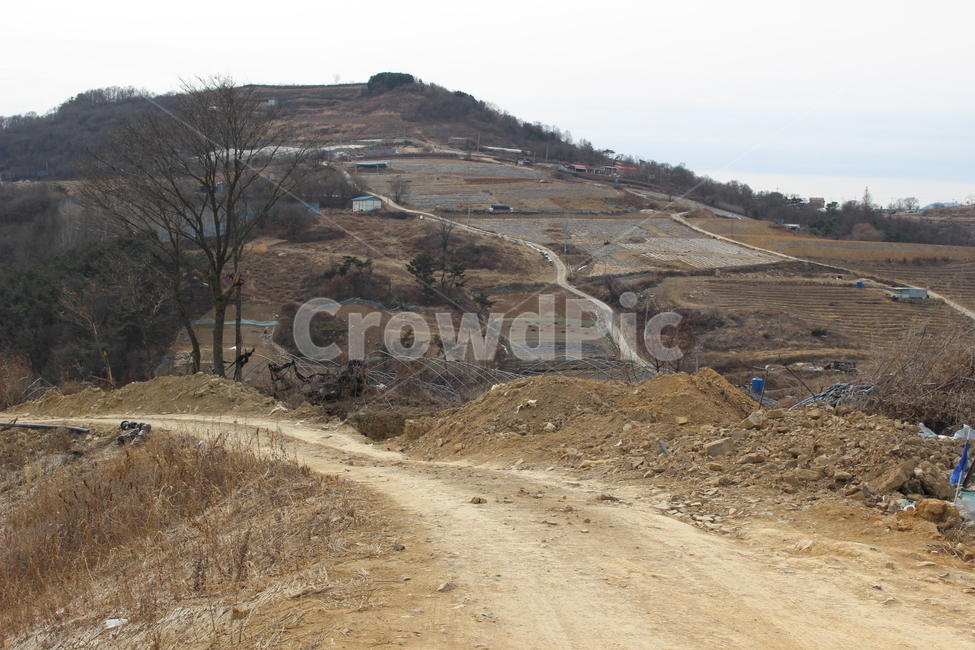 고랭지,고랭지채소밭,고랭지마을,화산산성,군위고랭지마을,고랭지밭,시골,마을,풍경,landscape,country,rural,town