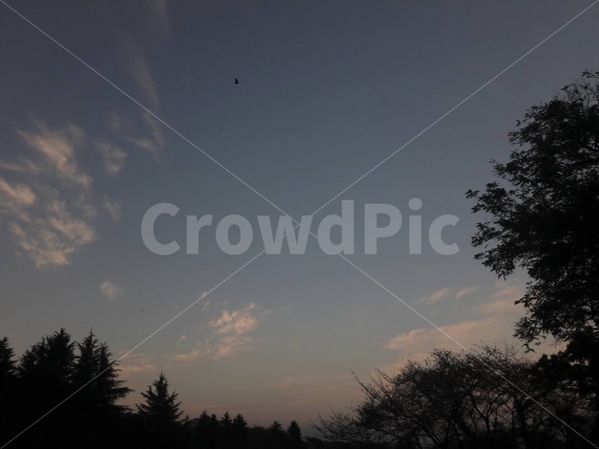 하늘,구름,노을,풍경,자연,숲,나무,자연,풍경,nature,landscape,식물,plants,나무,trees,wood,실루엣,그림자,silhouette,shadow,tree,plant