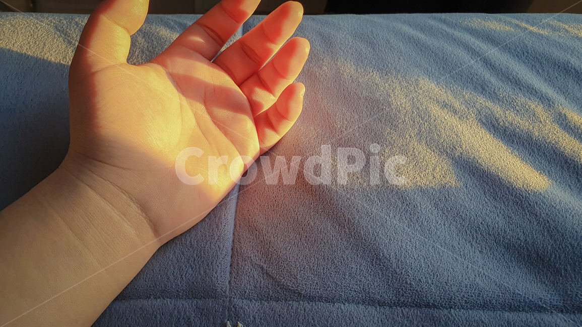 손,햇빛,아침,이불,hand,hands