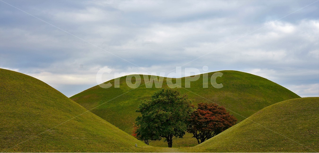 경주,왕릉,가을,문화재,신라,역사,무덤,자연,풍경,nature,landscape,outdoors,옥외,hill,언덕