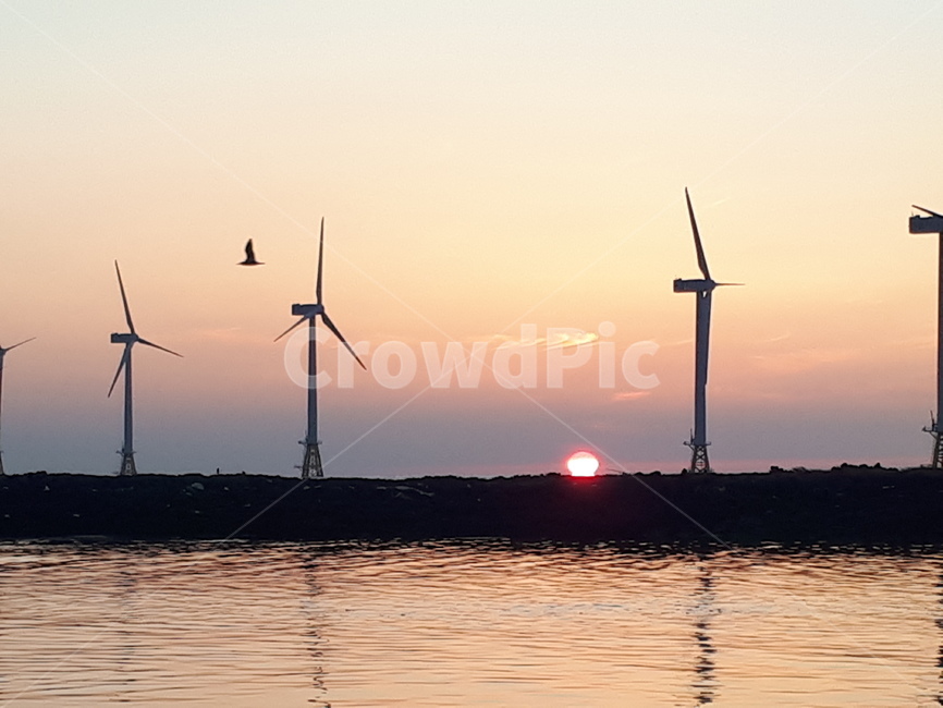 제주도,해안가,제주해안가풍경,일몰,풍차