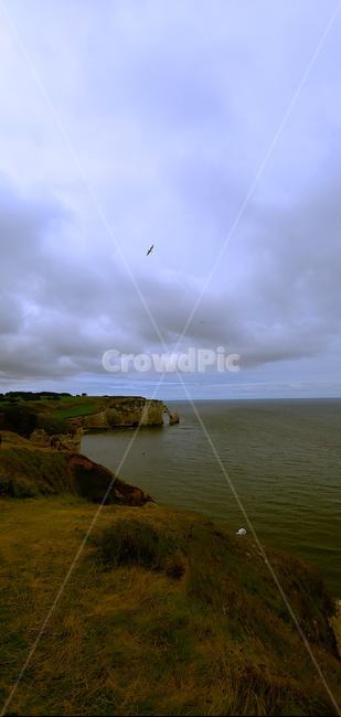 바다,자연,물,새,해안선,promontory,outdoors,land,nature,shoreline,water,ocean,animal,bird,sea