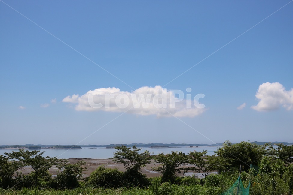 여름,하늘,파랑,나무,초록,자연,summer,natsu,sky,sora,blue,ao,skyblue,sorairo,tree,ki,green,midori,nature,구름,흰색,cloud,kumo,white,shiro,서해,바다,갯벌,westsea,sea,saikai,umi,자연,풍경,nature,landscape,outdoors,옥외