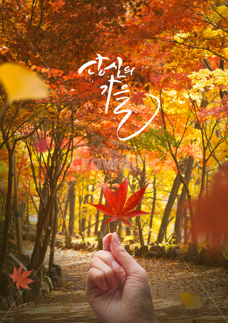 단풍,단풍잎,단풍길,낙엽,캘리,캘리그라피,손글씨,붓글씨,가을,감성,가을,계절,fall,autumn,season,식물,자연,plants,nature,사람,인물,인간,human,person,신체일부,몸,body,캘리그라피,손글씨,calligraphy,leaf,잎,plant,tree,나무,maple