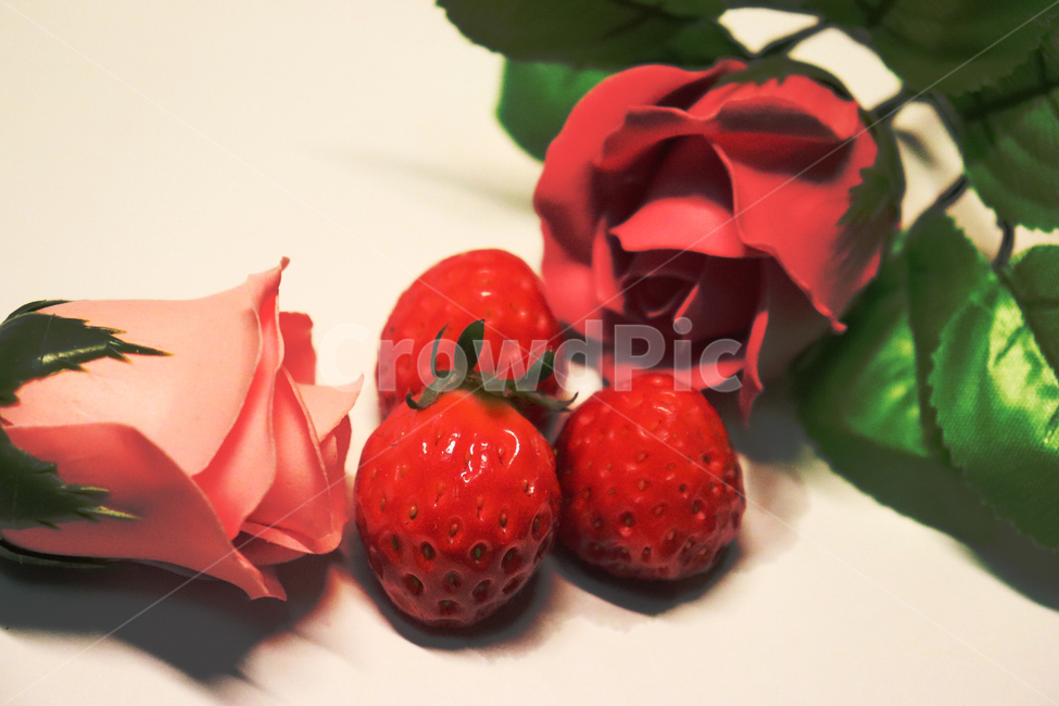 딸기,장미,빨간장미,분홍장미,strawberry,rose,red,pink,감성적인