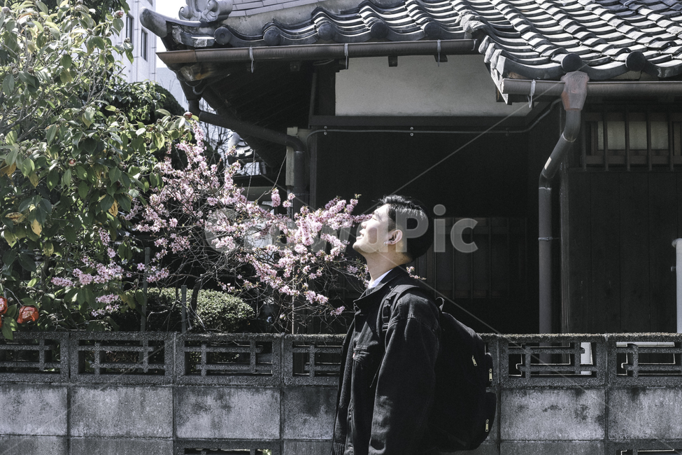 일본,봄,필름,감성,여행,봄,계절,spring,season,사람,인물,인간,human,person,남성,남자,man,male