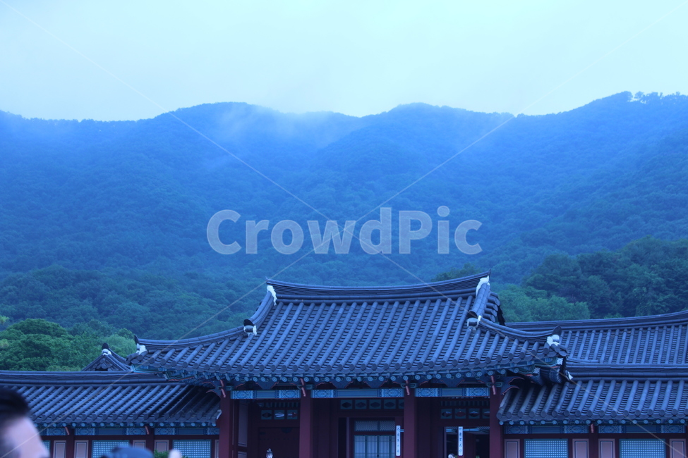 전통,하늘,기둥,기와집,정원,한국전통,한국문화,korean traditional,korean culture,건축물,건물외관,exterior,building,structure,architecture,construction