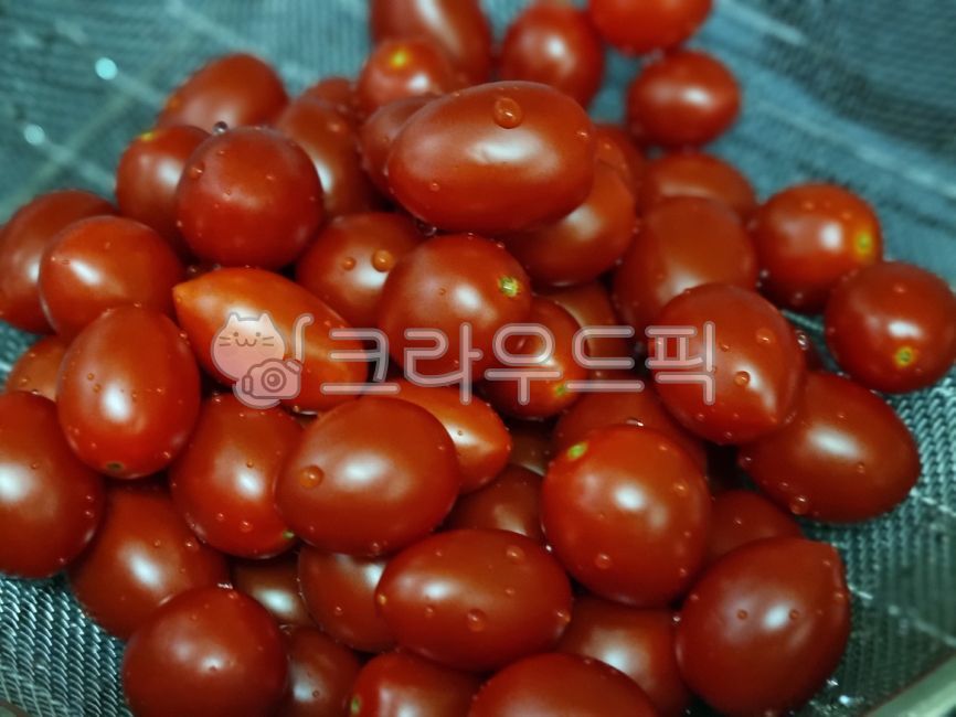 방울토마토,제철과일,tomato,토마토,food,음식,채소,vegetable,빨간색,빨강