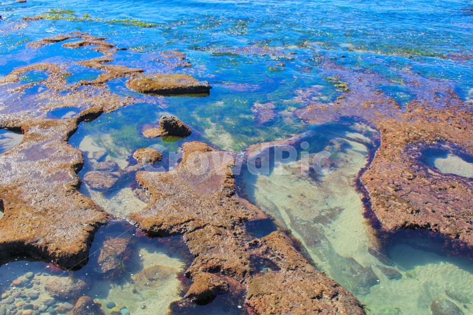바다,샌디에고,미국,미국서부,비치,산호,자연,풍경,nature,landscape,해외,외국,세계,foreign,oversea,world,세계자연풍경,해외자연풍경,외국자연풍경,world nature landscape,promontory,곶
