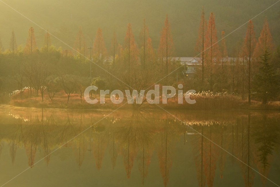 전남,나주,오봉제,오봉저수지,룰안개,오봉제가을,추색,만추,반영,nature,자연,weather,날씨,outdoors,옥외,fog,mist,안개,water,물,자연,풍경,nature,landscape