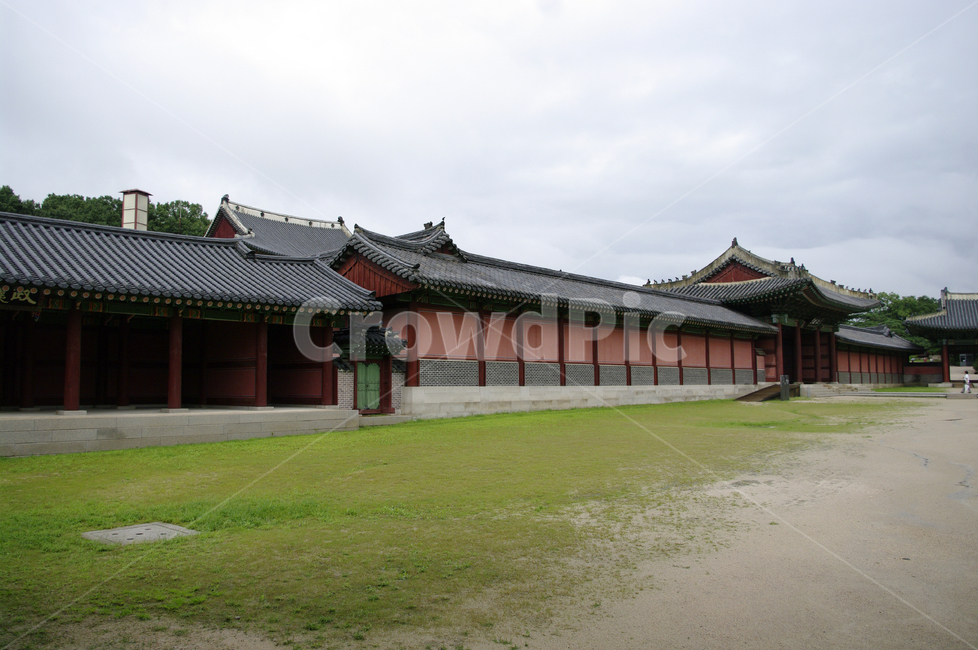창덕궁,고궁,한옥,전통가옥,기와지붕,건축,traditional,나무,한국전통,한국문화,korean traditional,korean culture,랜드마크,landmark,tourist attraction,한국랜드마크,한국관광지,한국명소,korea landmark,korea tourist attraction,건축물,건물외관,exterior,building,structure,architecture,construction