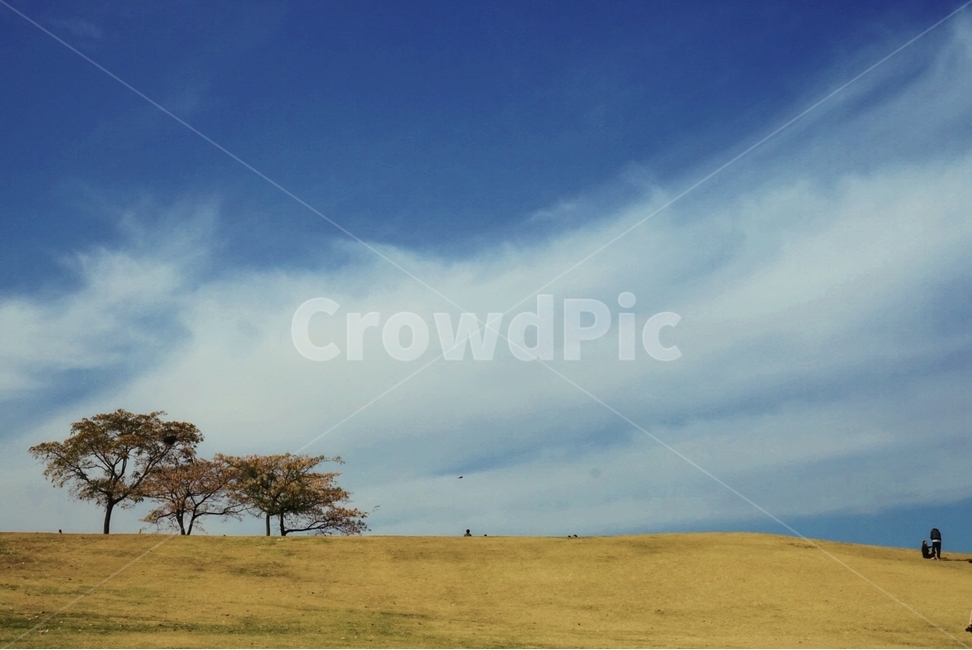 자연,하늘,구름,감성,나무,자연,풍경,nature,landscape,outdoors,옥외,grassland,목초지,field,들,savanna,대초원,경치