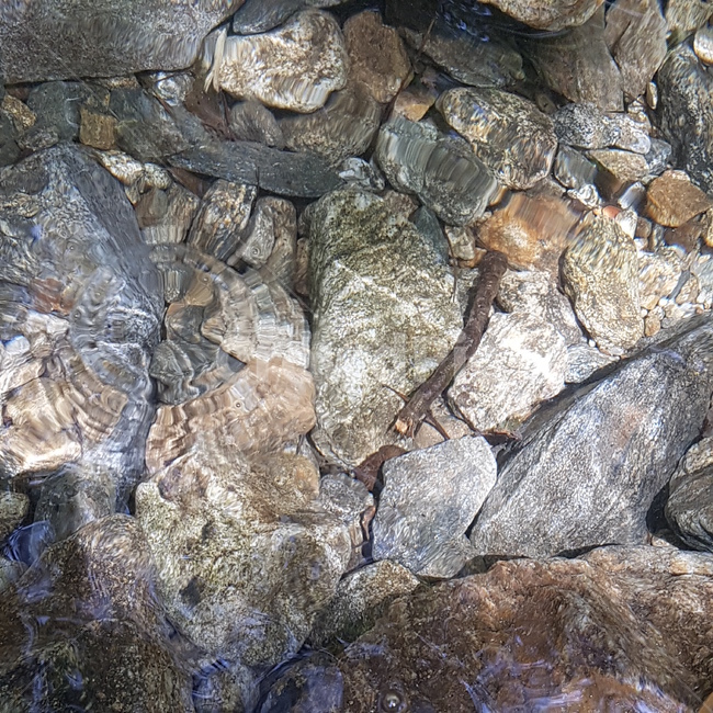 계곡,돌,물,stone,water