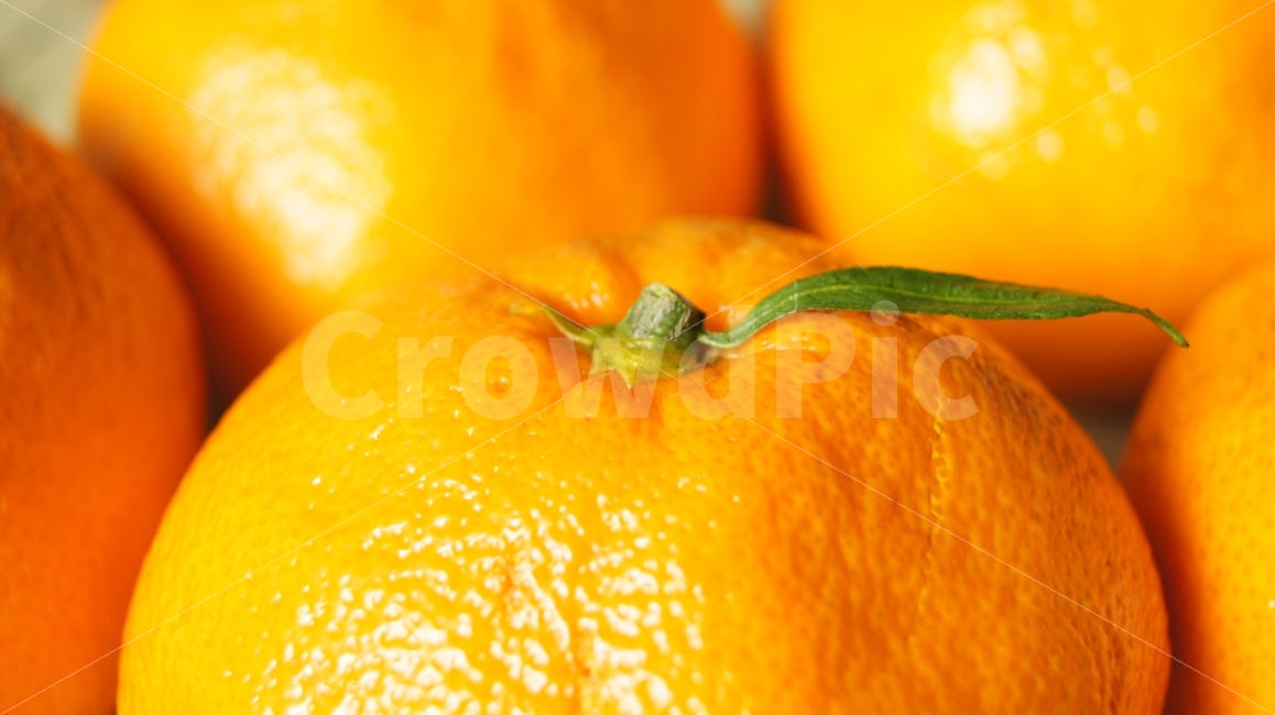 귤,과일,가을,주황,이파리,음식,식재료,요리,food,cook,meal,dishes,food reserves,과일,열매,fruit,색깔,색상,색채,색감,color sense,color sensitivity,feeling of color