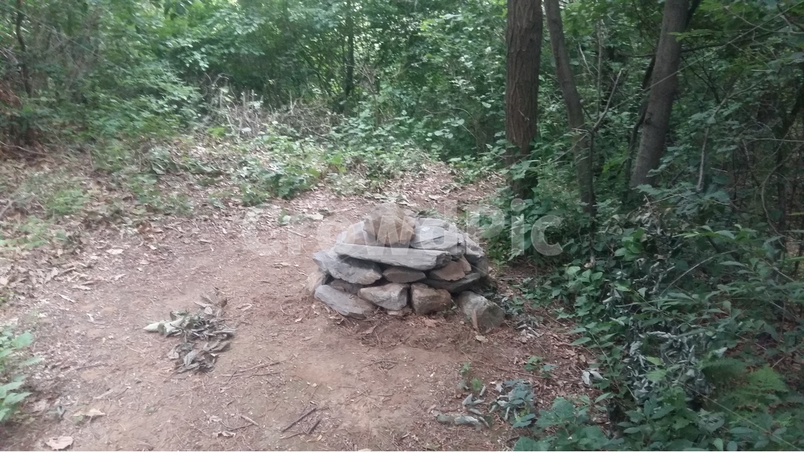향적산,등산,숲,돌무더기,나무,자연,풍경,nature,landscape,ground,바닥,path,통로