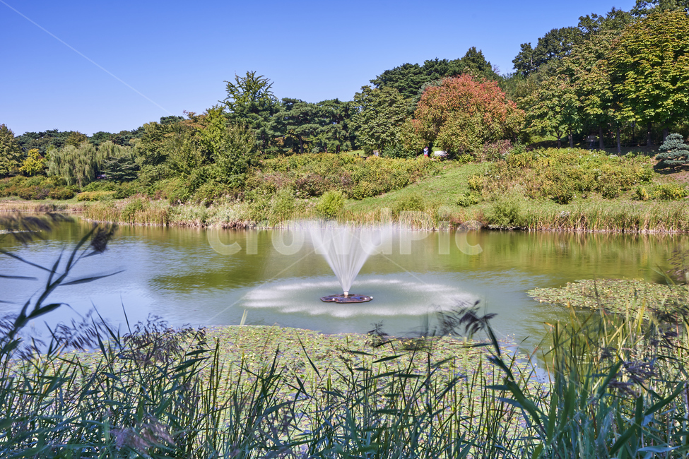 공원,야외,물,물줄기,장노출,호수,올림픽공원,자연,풍경,nature,landscape,water