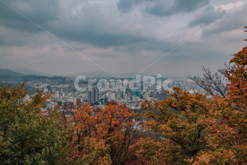 서울,서울풍경,남산,흐림,흐린서울,단풍,가을,가을서울,가을,계절,fall,autumn,season,도시,풍경,city,landscape,한국도시풍경,한국도시경관,korea cityscape,nature,자연,scenery,outdoors,옥외,경치,plant,식물,tree,나무