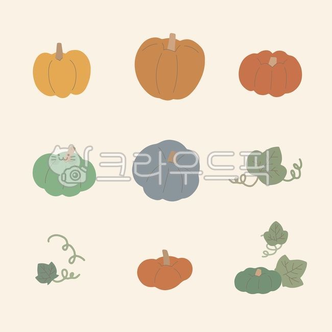 pumpkin illustration,pumpkin leaves,fall pumpkin,pumpkin vine,old pumpkin,fall,pumpkin picture,pumpkin icon,Sweet pumpkin,autumn,jack o lantern,Halloween,pumpkin