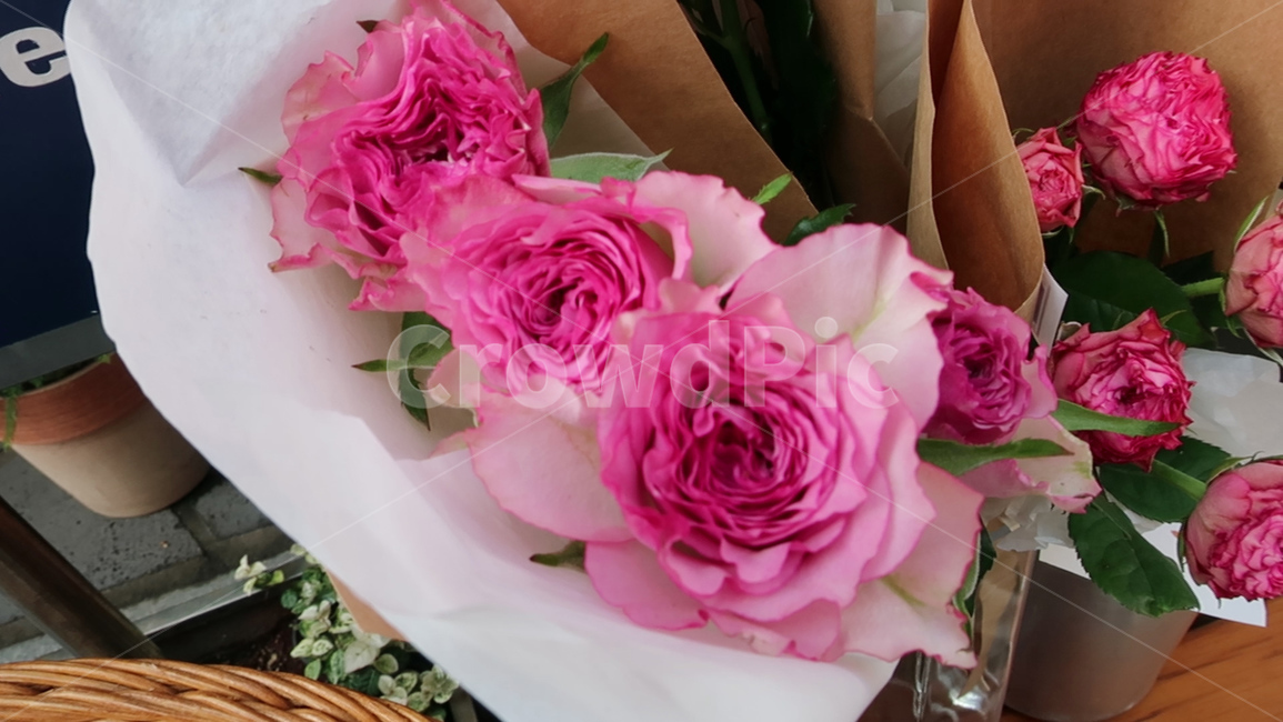 plant,식물,blossom,꽃,flower,장미꽃,꽃집,rose,shop,flowershop,꽃,flower