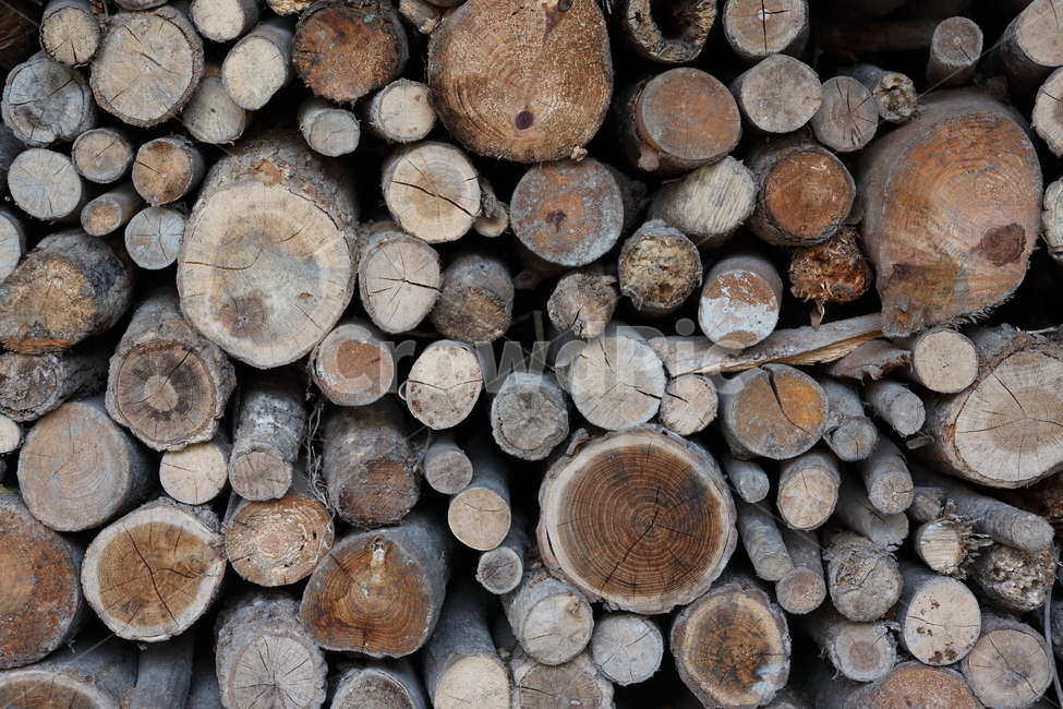 나무,장작,단면,wood,firewood,나무,trees,wood