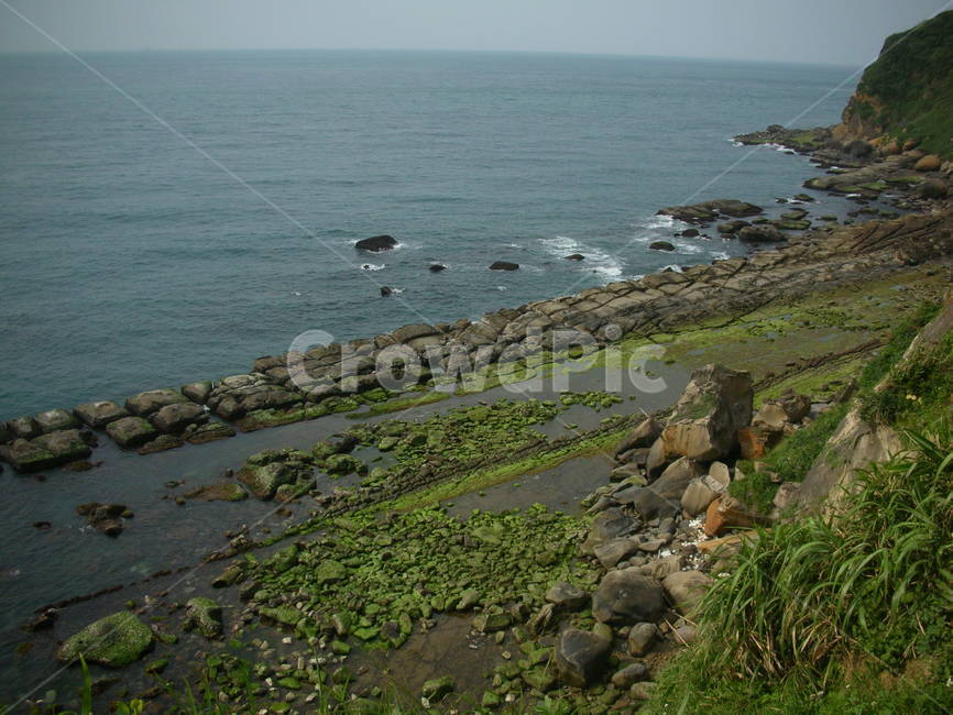 자연,해안,암석,대만,바다,sea,coast,rock,nature,자연,풍경,nature,landscape,plant,식물,algae,조류,promontory,곶