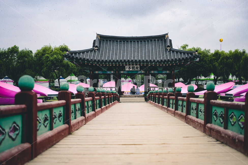 연꽃,부여,궁남지,수련,여름,한국전통,한국문화,korean traditional,korean culture,종교,신앙,religion,belief,faith,건축물,건물외관,exterior,building,structure,architecture,construction
