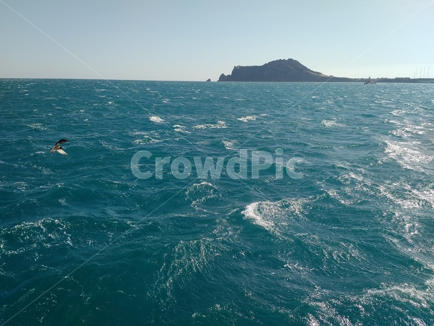 해안선,파도,바다풍경,바다한복판,바다햇살,sea,wave,ontheboat,horizon,섬,바다갈매기,seagulls
