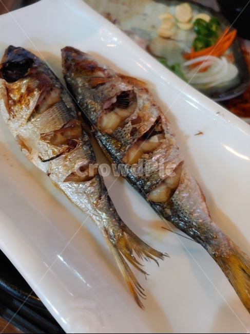 fish,물고기,herring,청어,sealife,sardine,동물,animal,해양생물,정어리,전어,가을,전어구이,소주,횟집,회,반찬,맛집,음식,식재료,요리,food,cook,meal,dishes,food reserves
