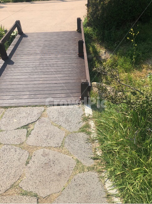 오륙도,다리,풀잎,돌길,들꽃