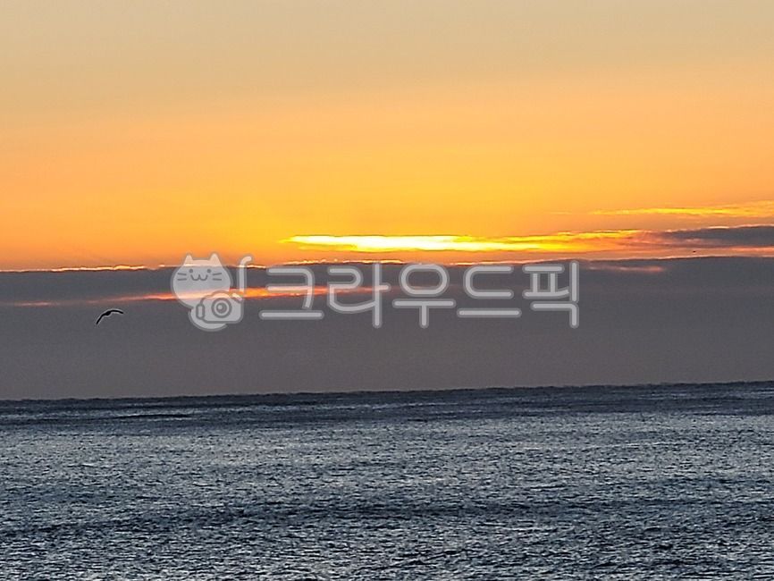 new year sunrise,Sunrise,Gangneung sunrise,sun