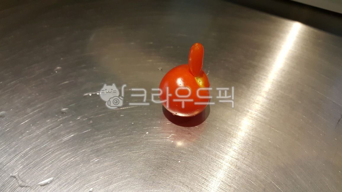 방울토마토,열매,혹,식물,과일채소,빨간색,plant