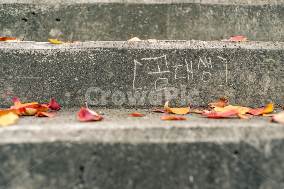 길거리,계단,공대생,문자,낙옆,가을,쓸쓸한,낙서,atumn,street,floor,leaf,가을,계절,fall,autumn,season,식물,자연,plants,nature