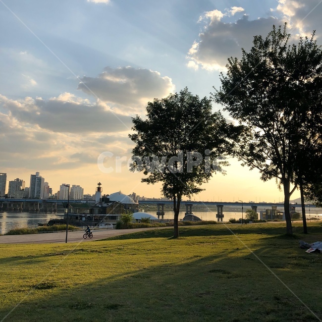 한강,plant,식물,잔디,나무,구름,해질녘,풍경,자연,풍경,nature,landscape,grass