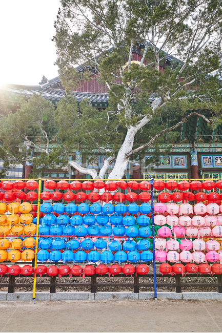 연등,부처님오신날,석가탄신일,한국전통,종교,축제,조계사