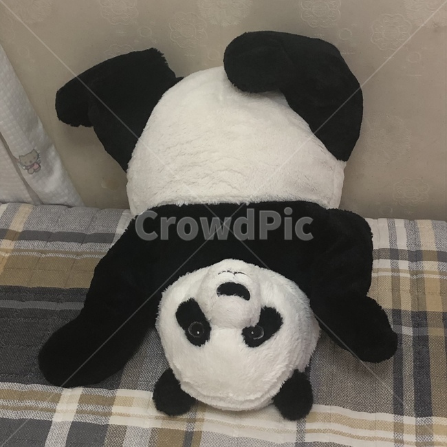 뒤집힌,팬더,인형,발라당,침대