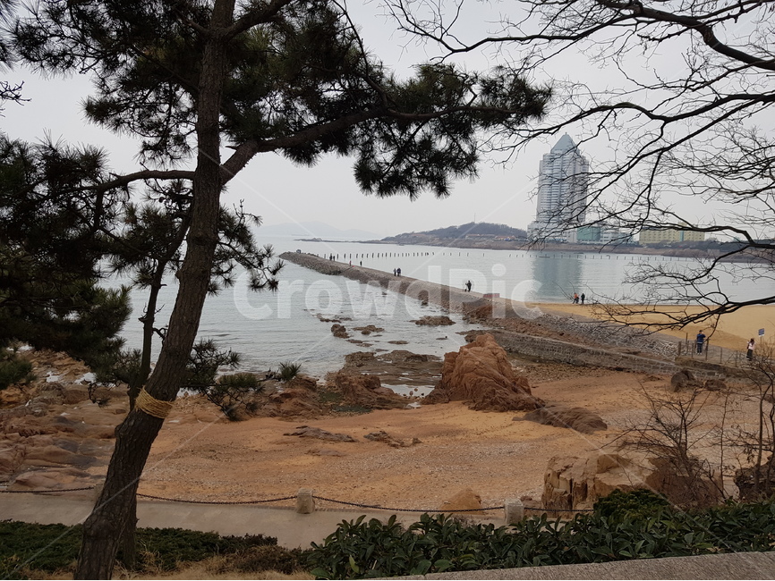 바다,바닷가,해안가,산책길,배경,여행,흐린,나무,풍경,중국,청도,sea,walkroad,travel,tree,scenery,china,chigdao,자연,풍경,nature,landscape,해변,바다,beach,sea
