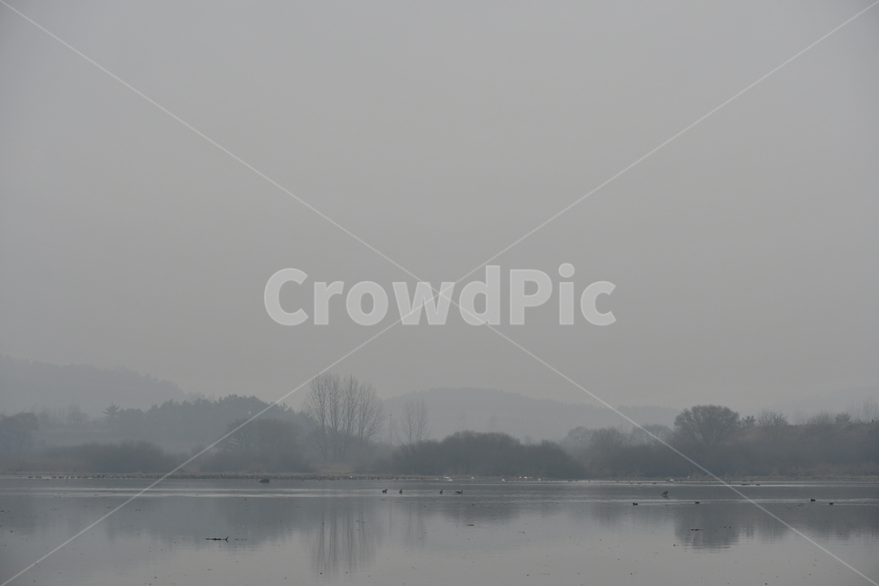 안개,수채화,신비,몽환,잔연,흑백,fog,nature,weather,감성,감성사진