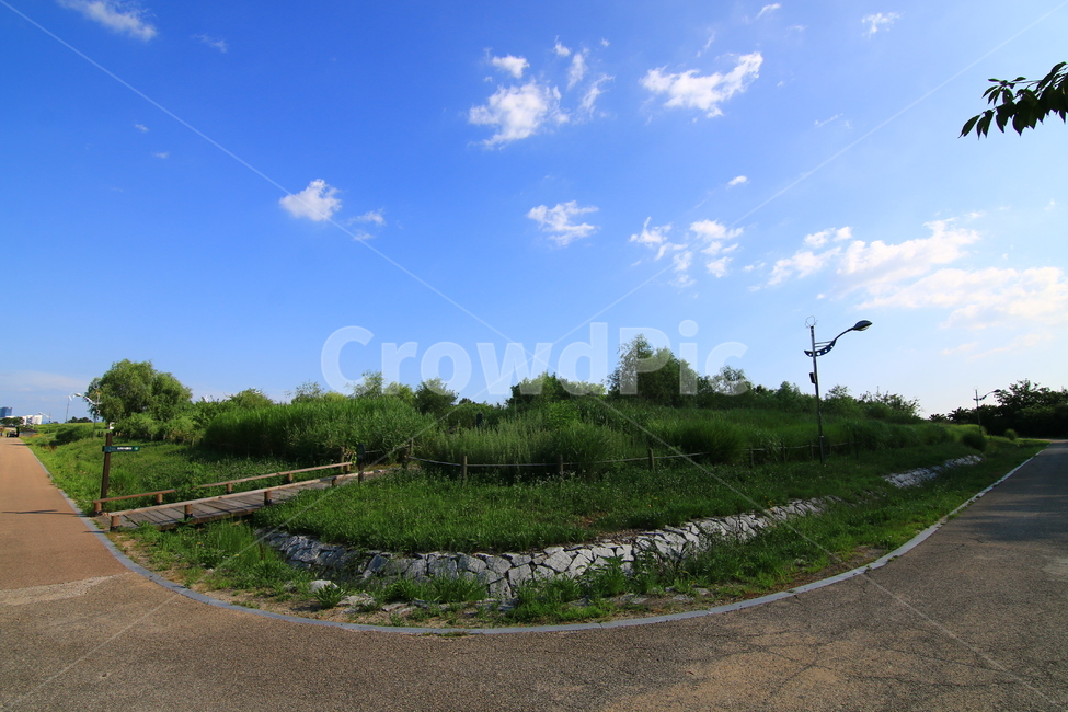 풍경,자연풍경,자연,여름,하늘,서울,하늘공원,난지도,자연,풍경,nature,landscape,road,도로,dirt road,흙길,gravel,자갈,asphalt,아스팔트