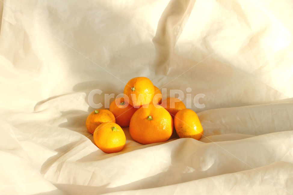 귤,겨울,주황,주황색,감귤,citrusfruit,감귤류과일,과일,fruit,음식,식재료,요리,food,cook,meal,dishes,food reserves,과일,열매,fruit
