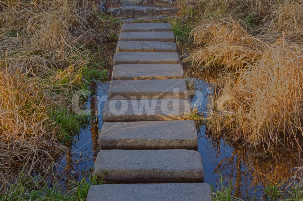 돌다리,갈대,산책,강,길,산책로,자연,풍경,nature,landscape,staircase,계단,flagstone,판석,slate,슬레이트