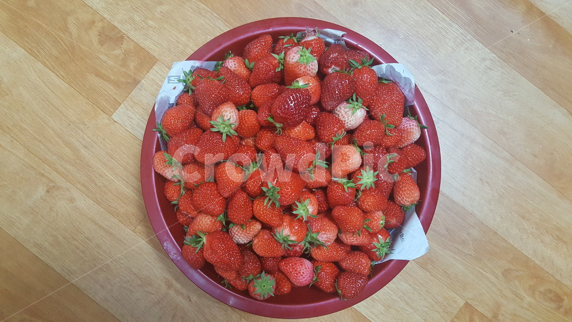 딸기,과일,제철과일,음식,채소,빨강,빨간색,새콤달콤,strawberry,음식,식재료,요리,food,cook,meal,dishes,food reserves,과일,열매,fruit