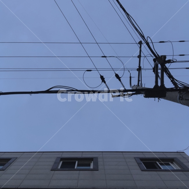 새벽,건물,전봇대,감성,새벽감성,외관