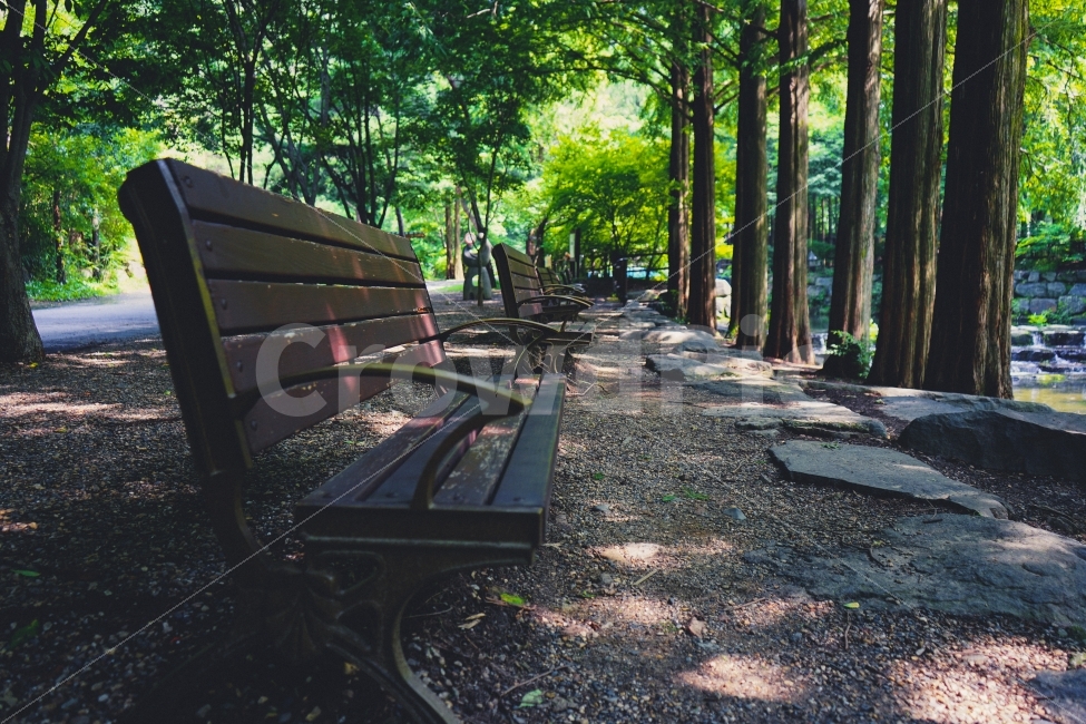 감성사진,휴식,힐링,여름,자연풍경,여행,휴가,여름,계절,summer,season,휴식,힐링,rest,relaxation,healing,furniture,가구,bench,벤치