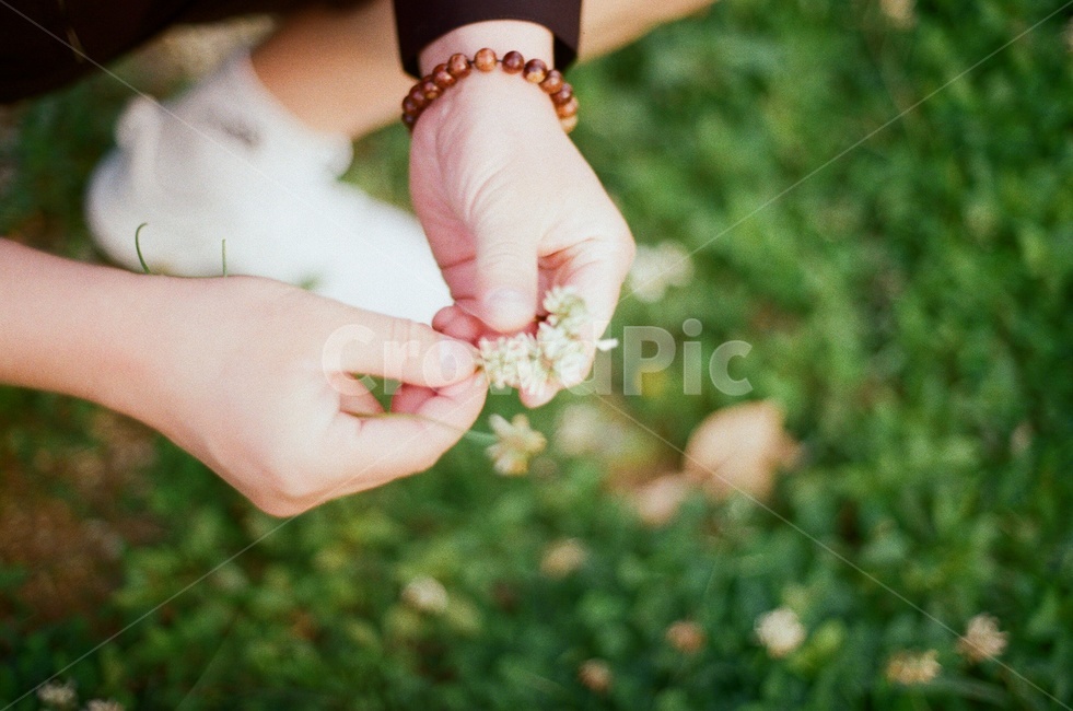 봄,꽃,잔디,인물,손,사랑,소원,선물,필름사진,감성사진,자연,들꽃,film,spring,personal,flower,green,nature,봄,계절,spring,season,감성,sensible,feeling,hand