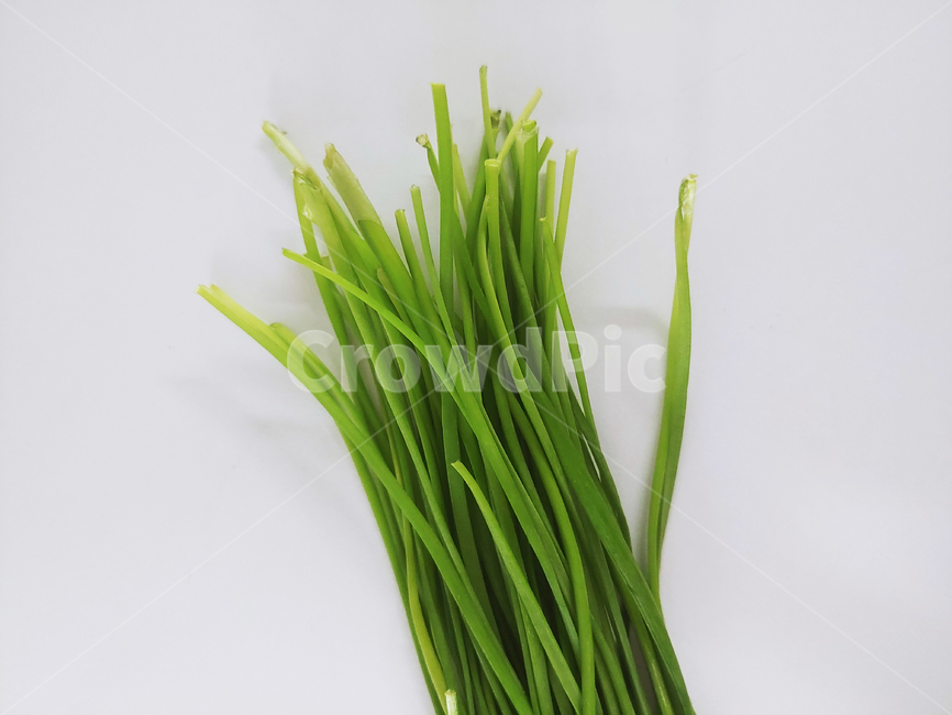 식물,부추,plant,음식,채소,풀