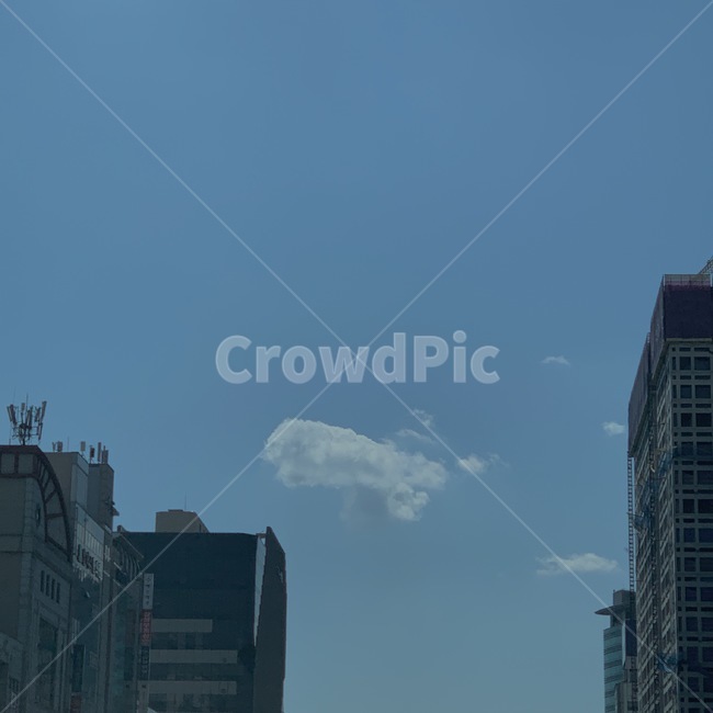 nature,자연,officebuilding,사무실건물,building,건물,outdoors,옥외,구름,cloud