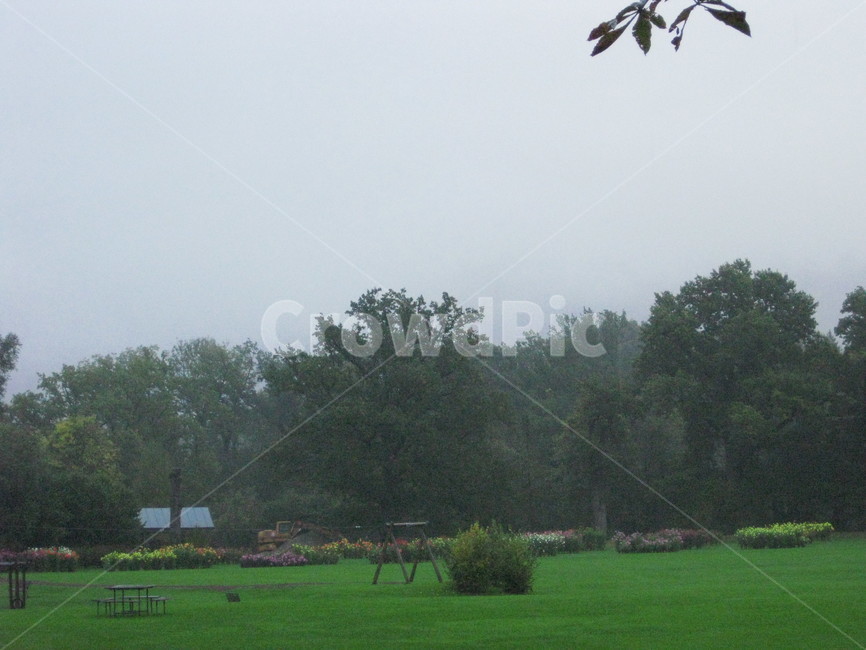 야외,outdoors,초록,grass,plant,식물,lawn,잔디,rain