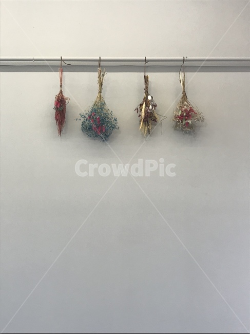 꽃,카페,벽,감성,감성사진,드라이플라워