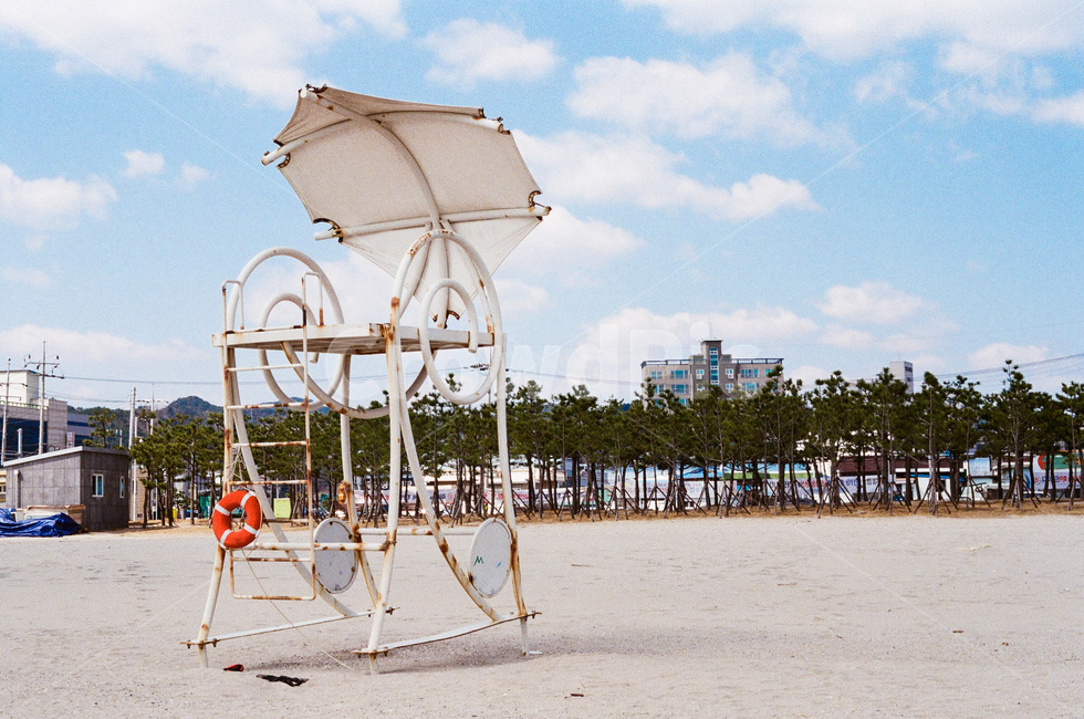 바닷가,해변가,해변,바다,여름,후포,하늘,감성사진,필름카메라,해변,바다,beach,sea