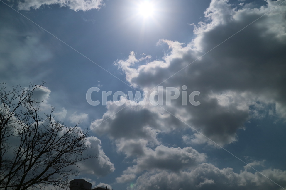 light,빛,flare,플레어,nature